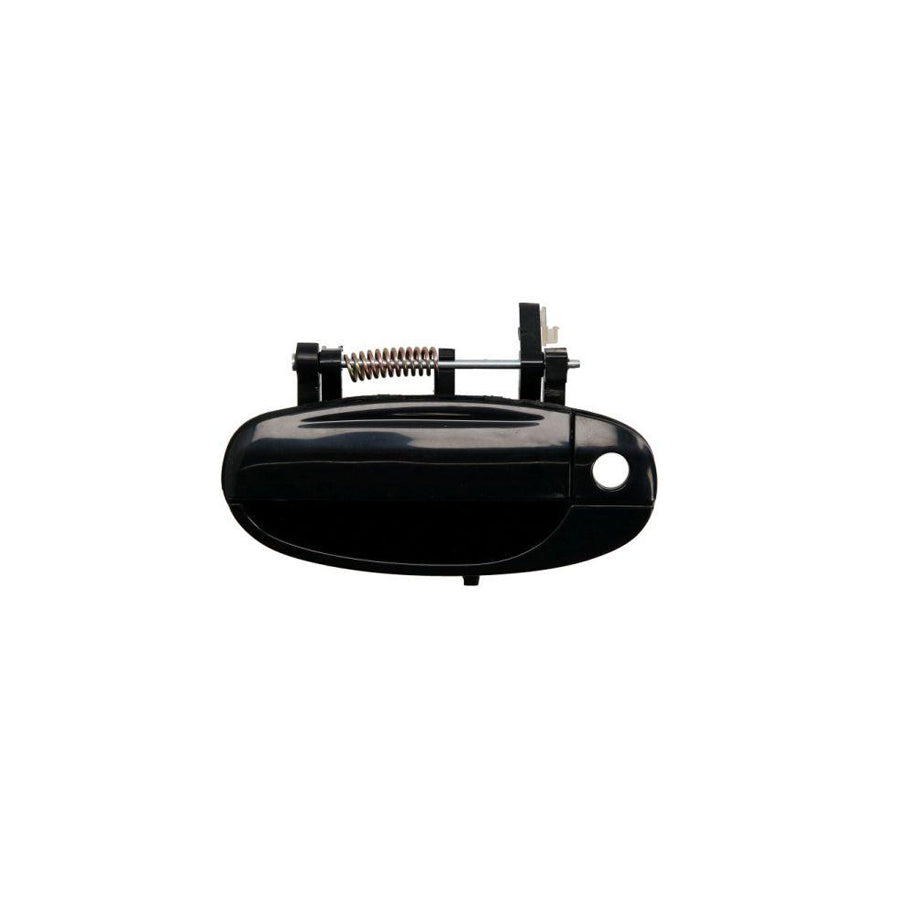 Blic 6010-56-005401P Door Handle
