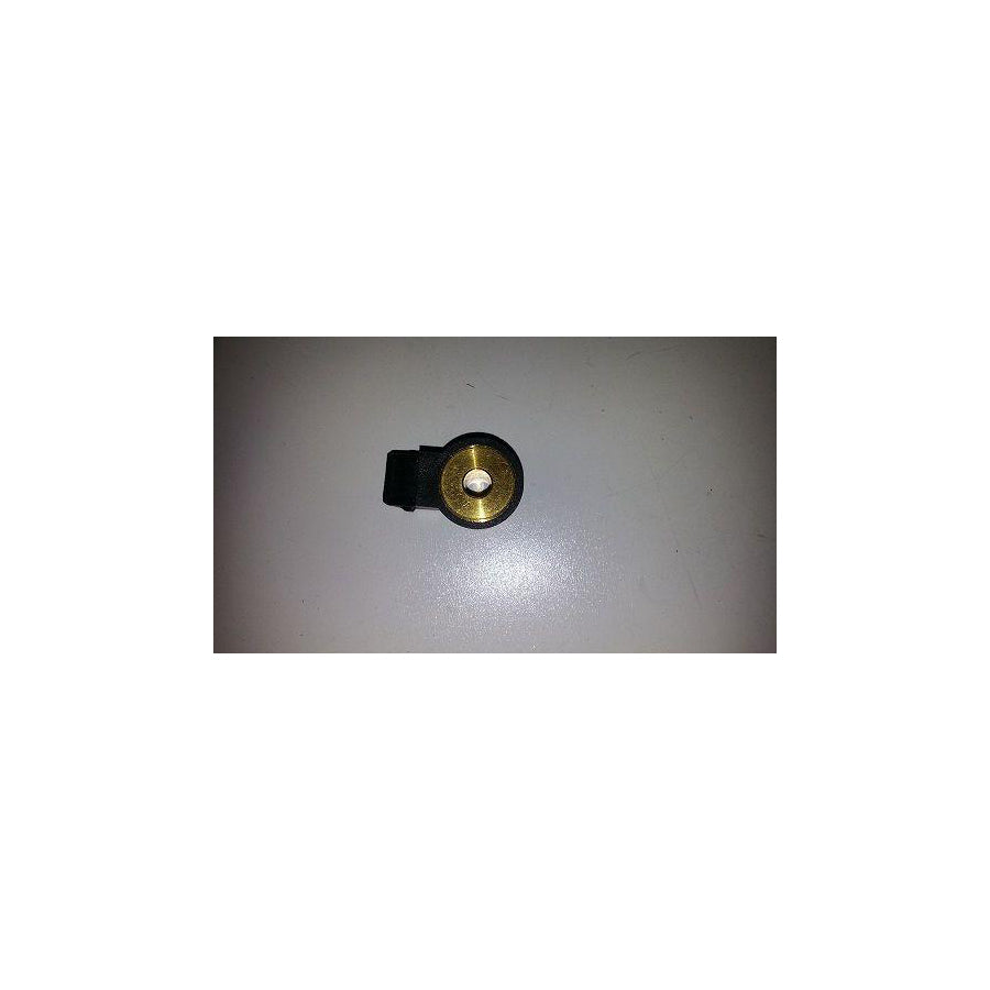 BUGIAD Bsp20704 Knock Sensor