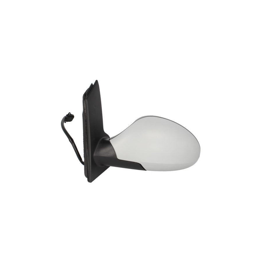 Blic 5402-04-1139950P Wing Mirror