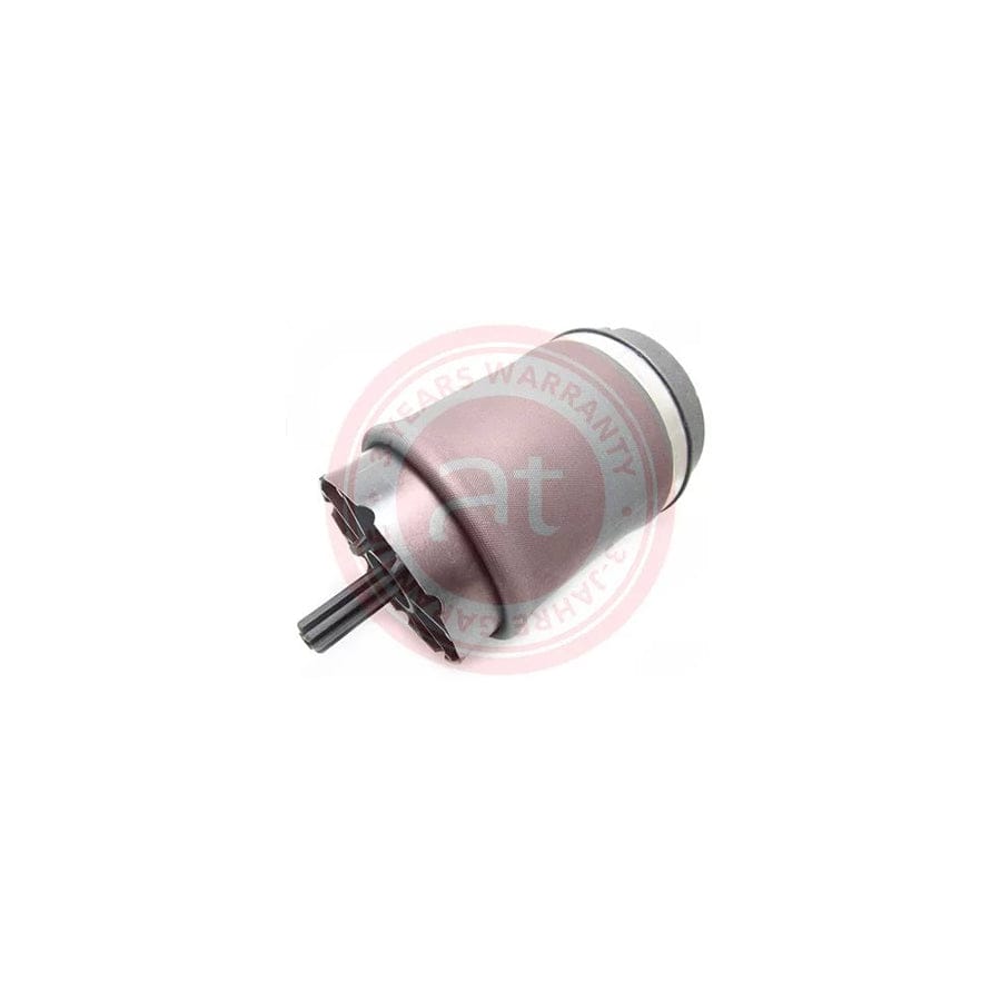 at autoteile germany At10548 Air Spring, Suspension for Land Rover Range Rover III (L322)