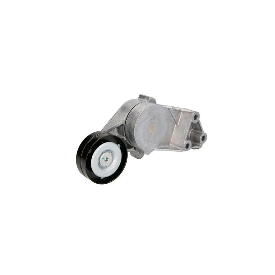 BTA E3W0019BTA Tensioner Lever, V-Ribbed Belt