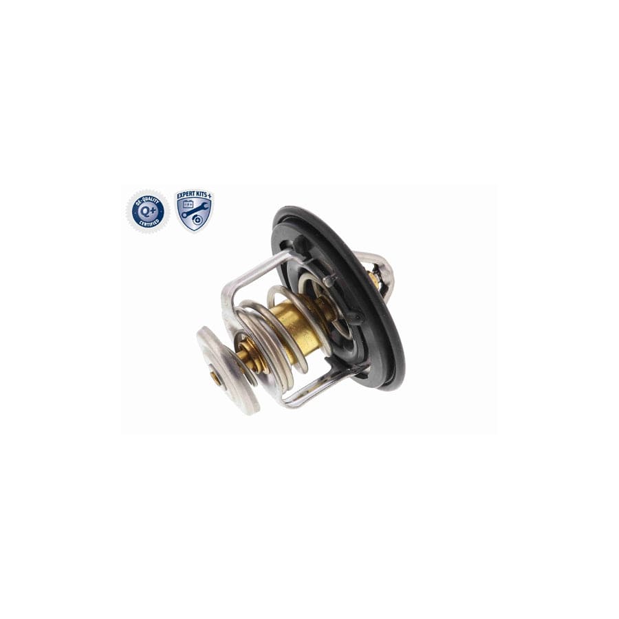 Ackoja A32-80014 Brake Disc | ML Performance US