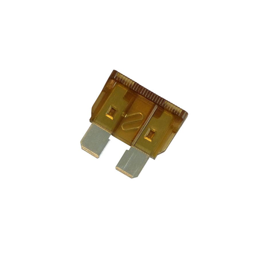Carpoint 1623921 Fuse