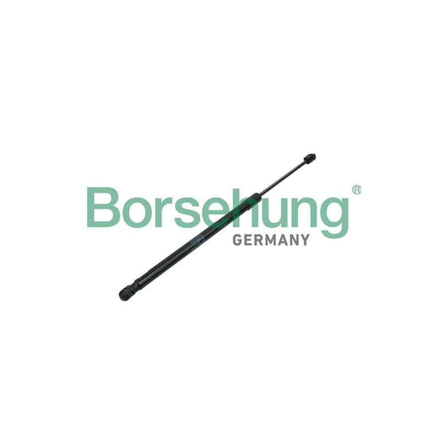 Borsehung B14195 Tailgate Strut for VW Touran I (1T1, 1T2)