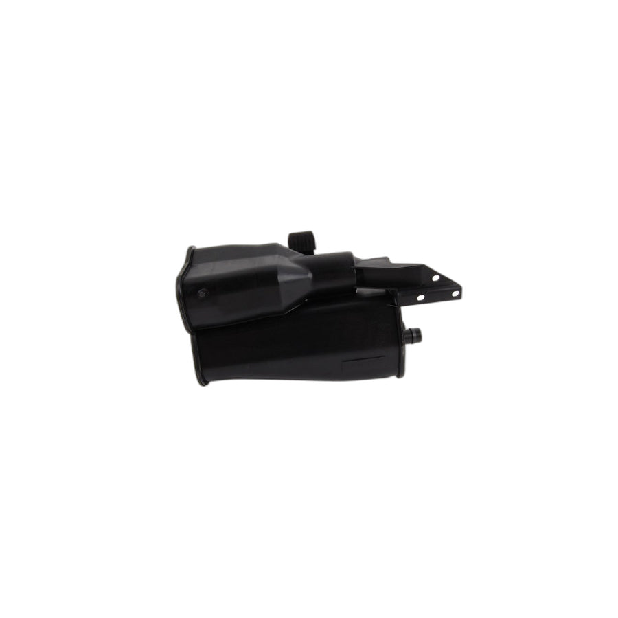 Genuine BMW 16137163596 E93 E88 E84 Activated Charcoal Filter (Inc. 325xi, M3 & Z4 28i)