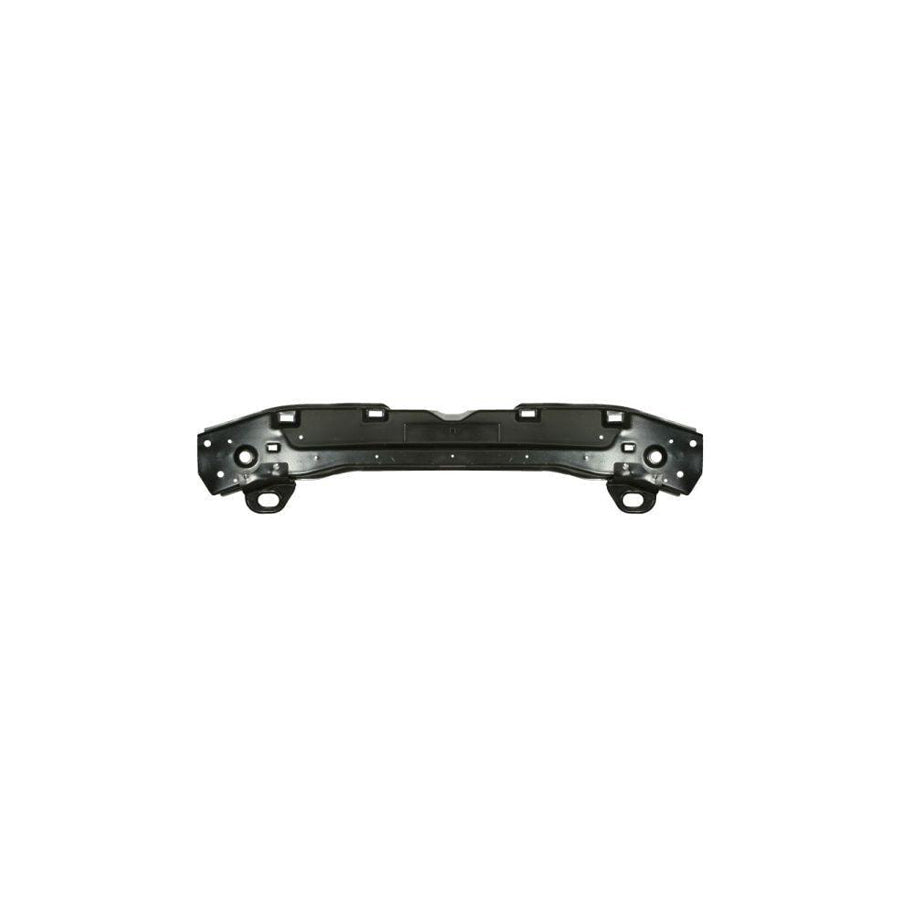 Blic 6502-08-3206202Dp Front Cowling For Jeep Grand Cherokee IV (Wk, Wk2)