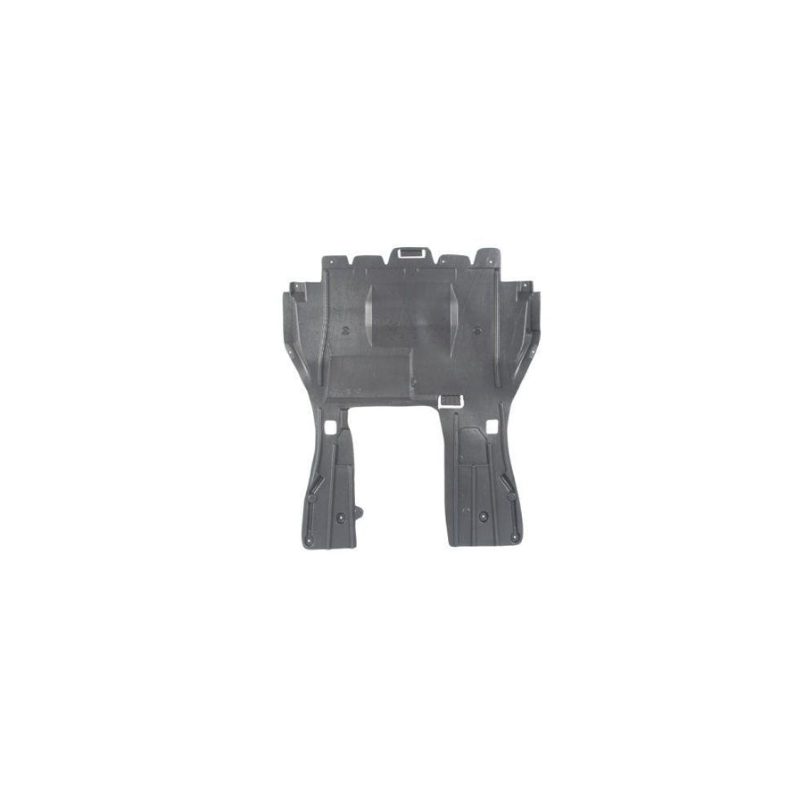 Blic 6601-02-5537861P Engine Cover