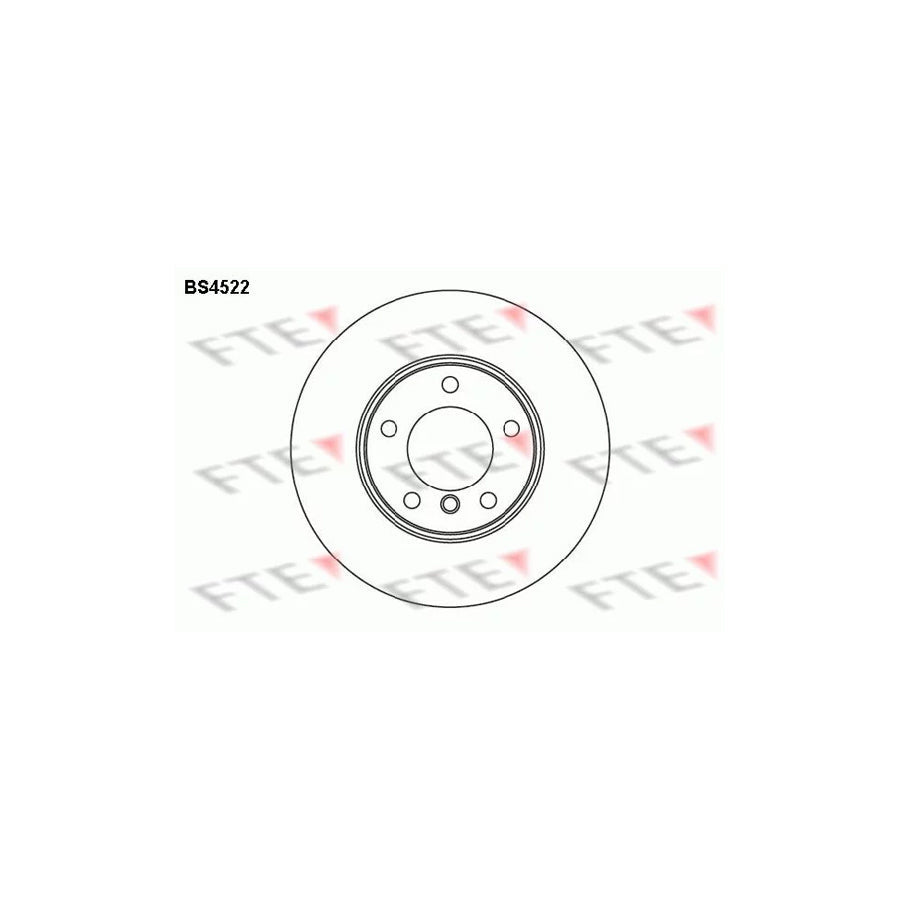 FTE Bs4522 Brake Disc for BMW 5 Series