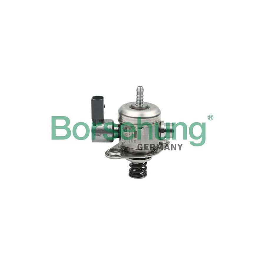 Borsehung B13841 High Pressure Fuel Pump