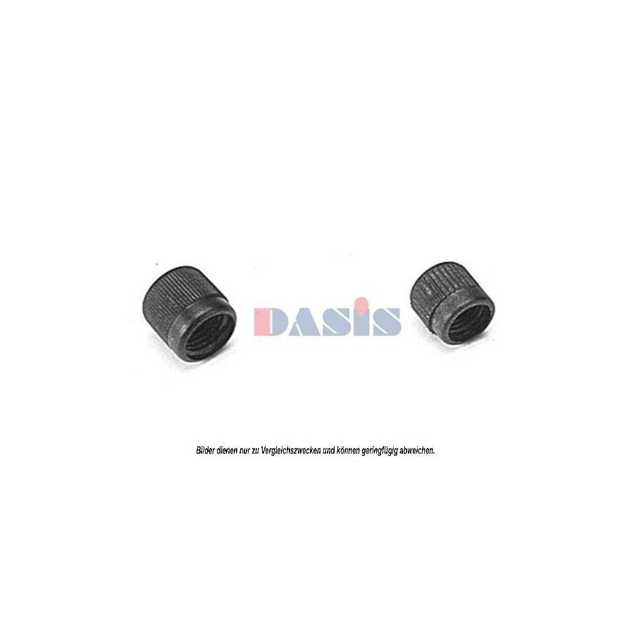AKS Dasis 908349N Seal Ring