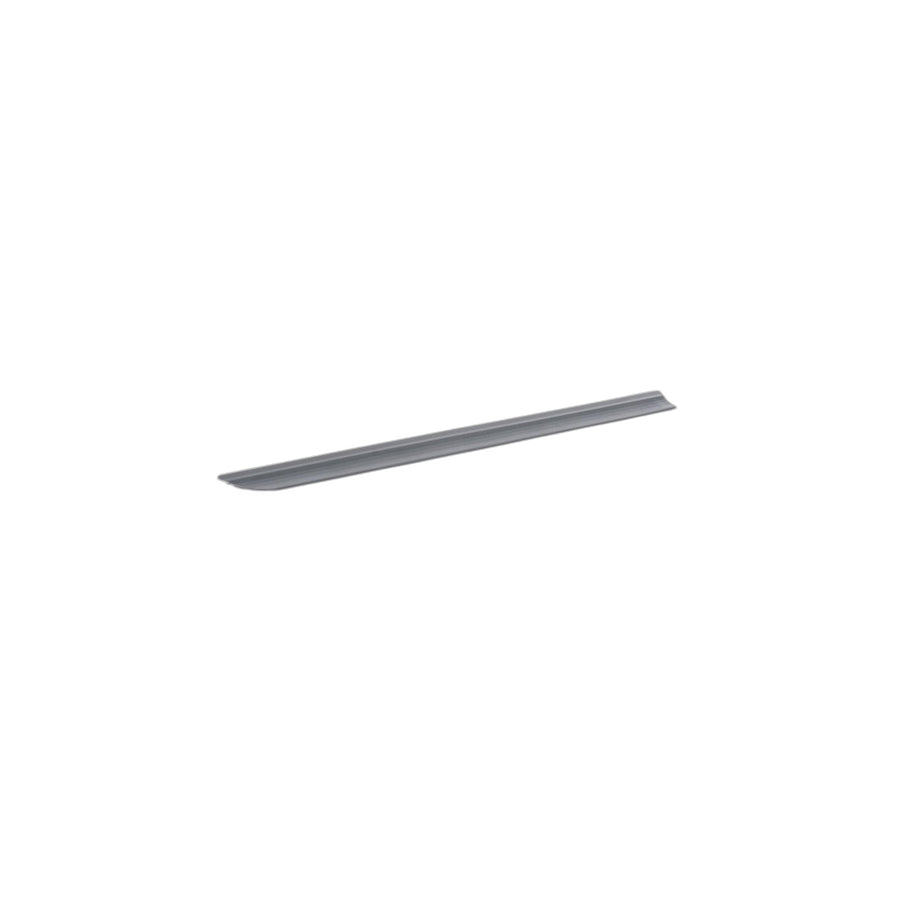 Genuine BMW 51333331191 E83 Door Weatherstrip Bottom Left (Inc. X3) | ML Performance US Car Parts