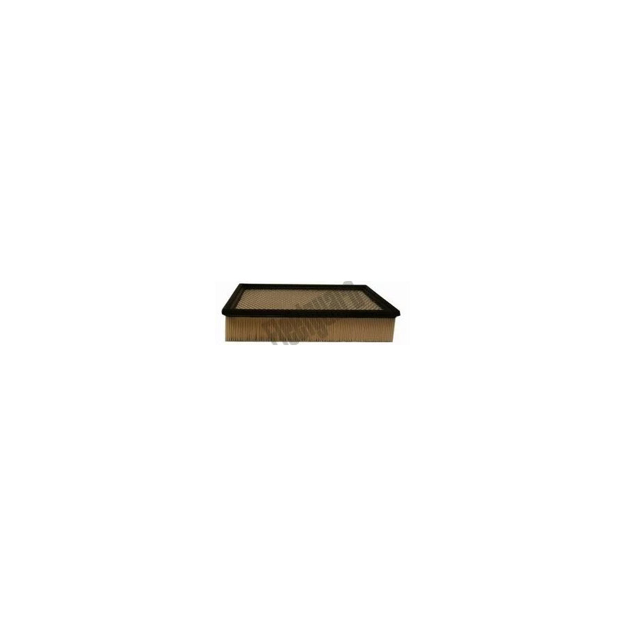 Fleetguard Af25848 Air Filter