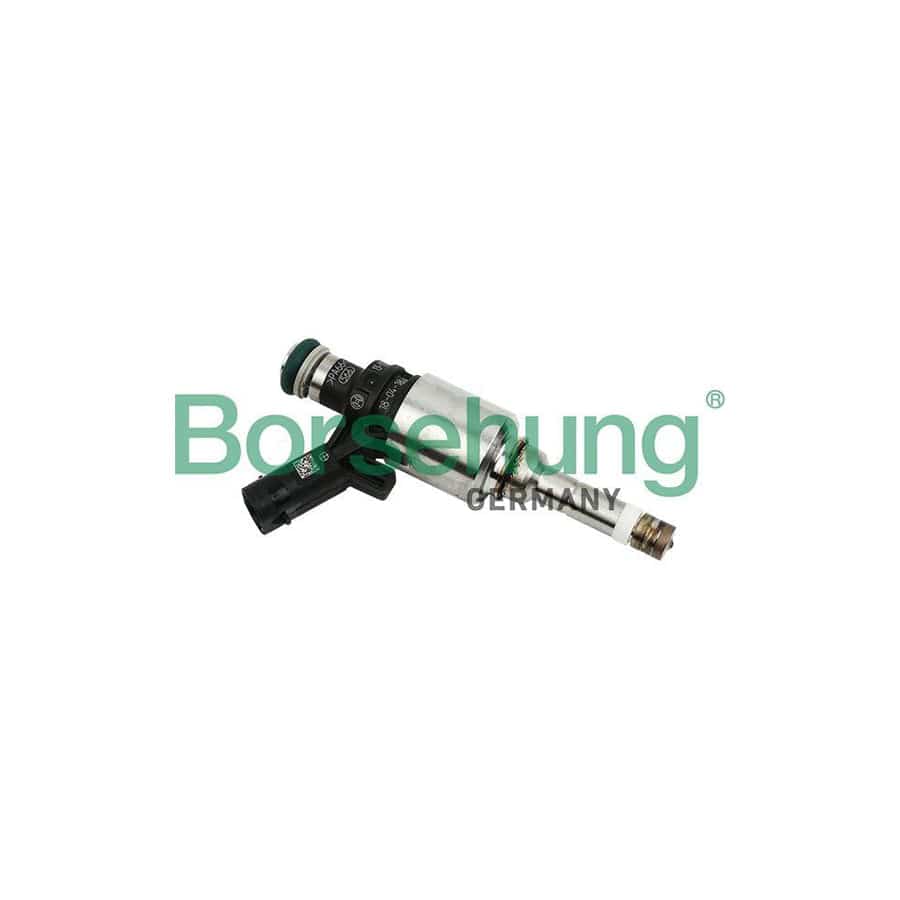 Borsehung B14341 Injector