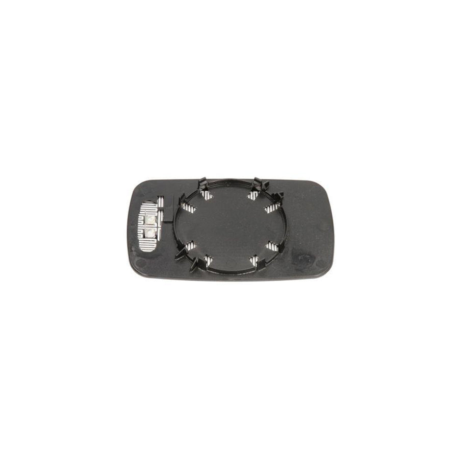 Blic 5402-04-1119829P Wing Mirror For BMW 3 Series