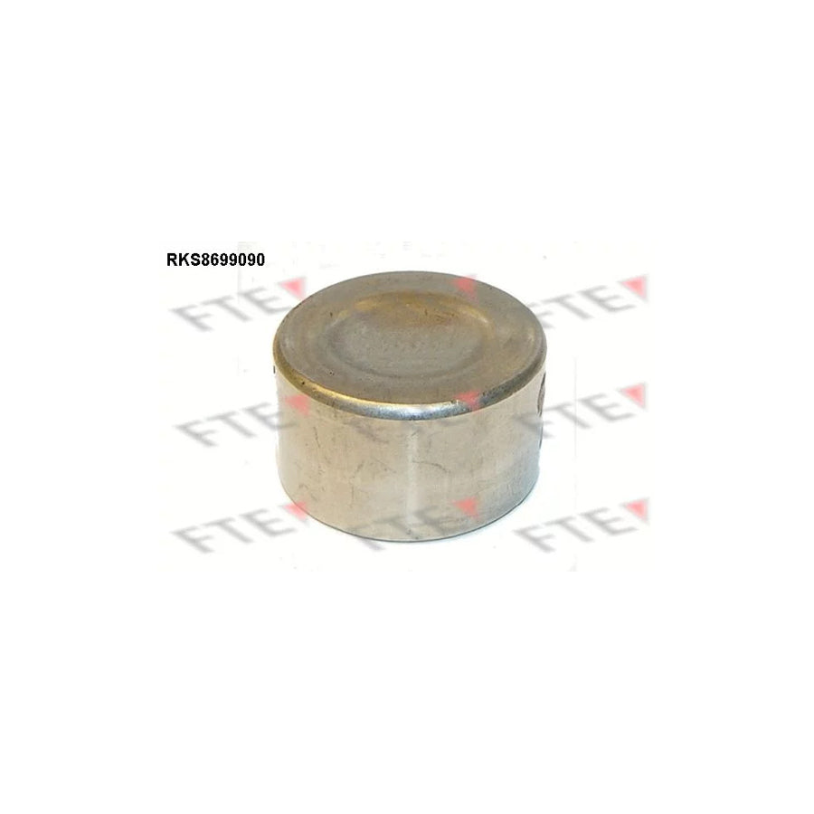 FTE 9313527 Piston, Brake Caliper