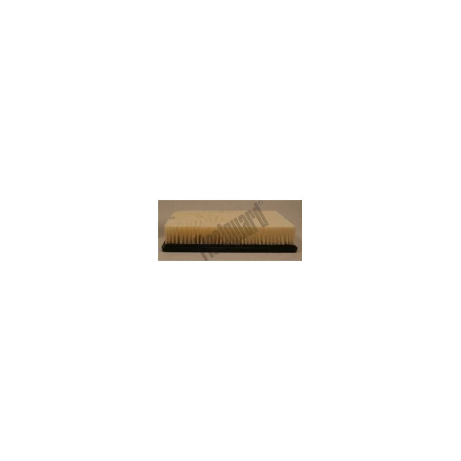 Fleetguard Af25757 Air Filter