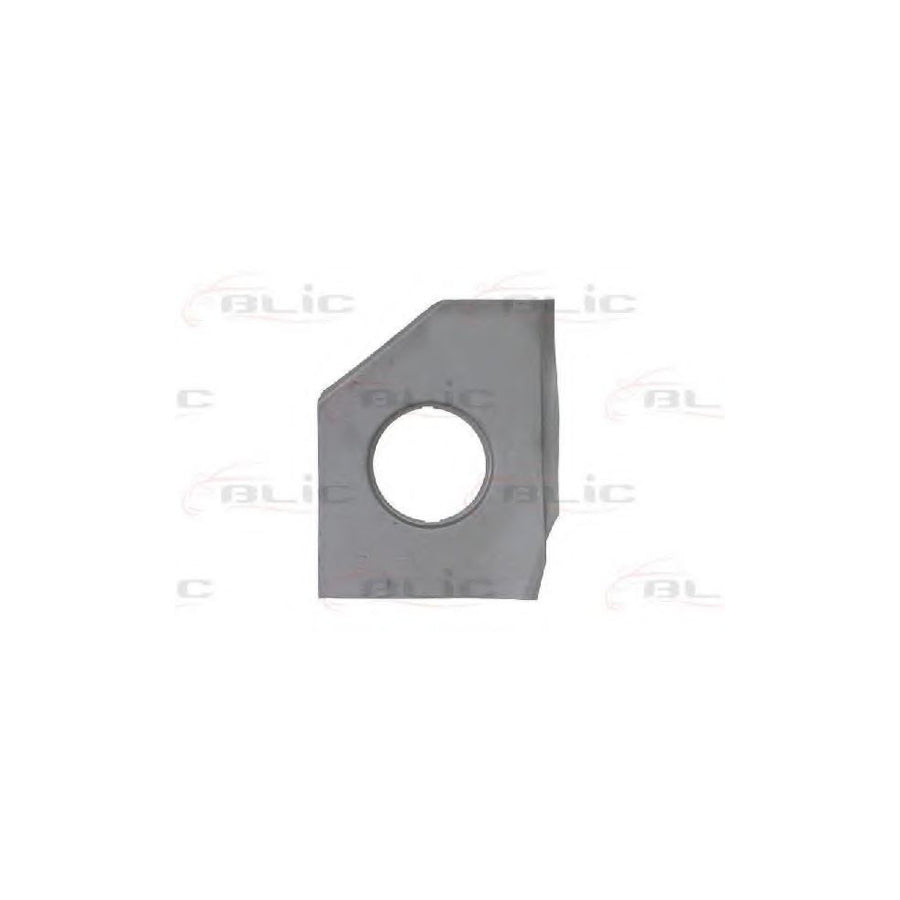 Blic 6508-02-2563521P Sidewall