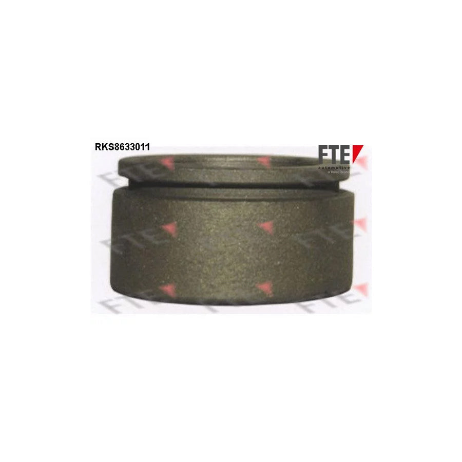 FTE Rks8633011 Piston, Brake Caliper Suitable for Mercedes-Benz S-Class Saloon (W140)