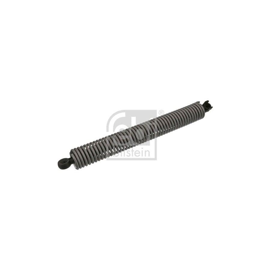 Febi Bilstein 47075 Tailgate Strut