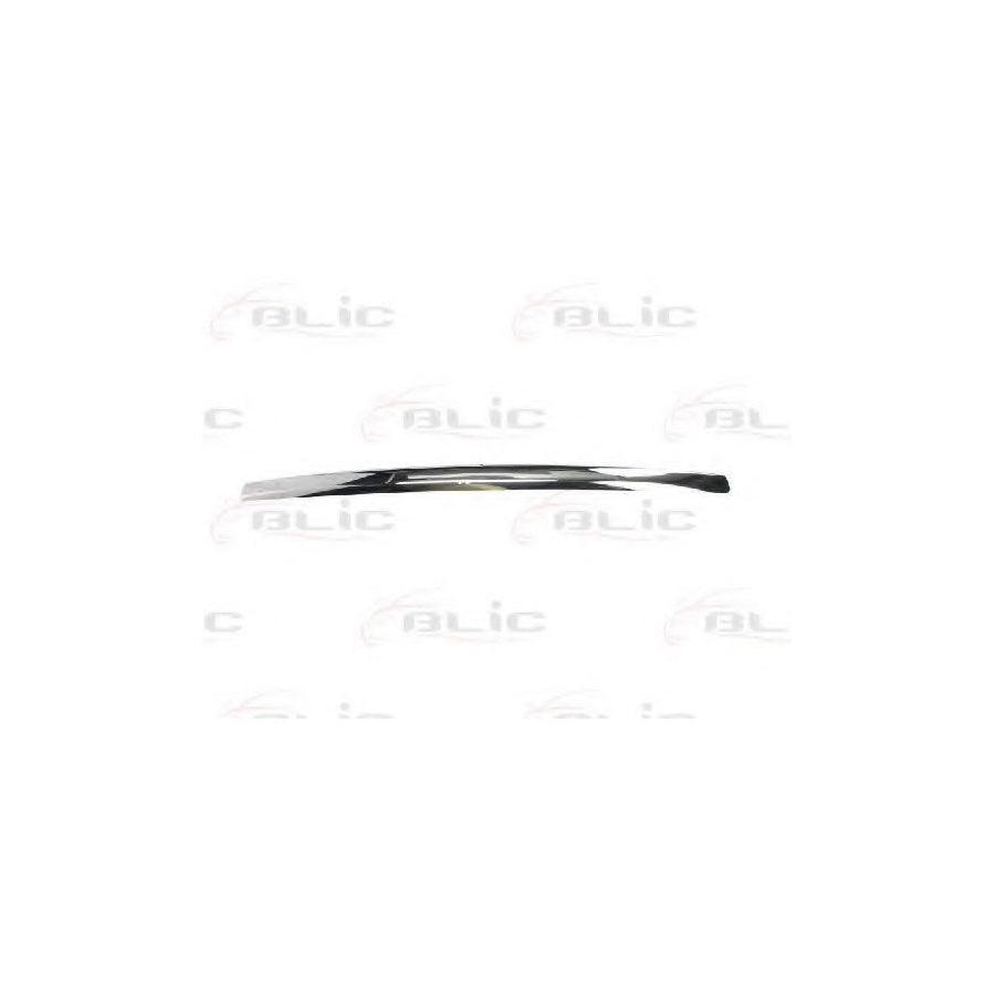 Blic 6502-07-2556993P Trim / Protective Strip, Radiator Grille For Ford Mondeo
