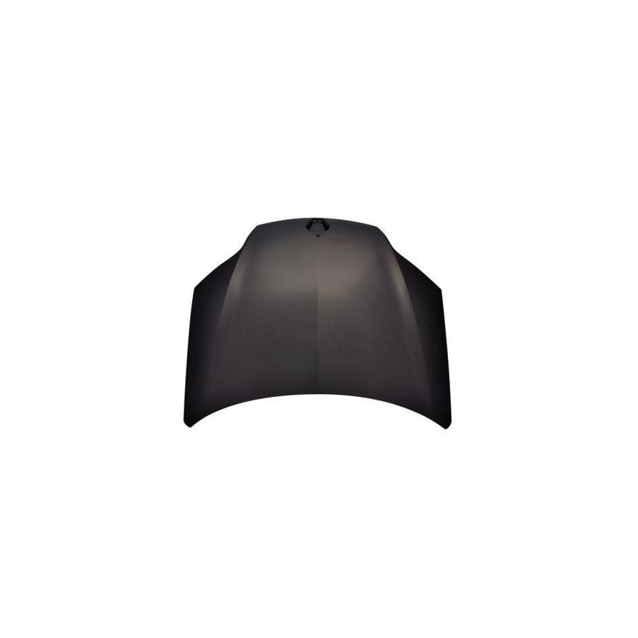 Abakus 04223100 Bonnet for Renault Laguna