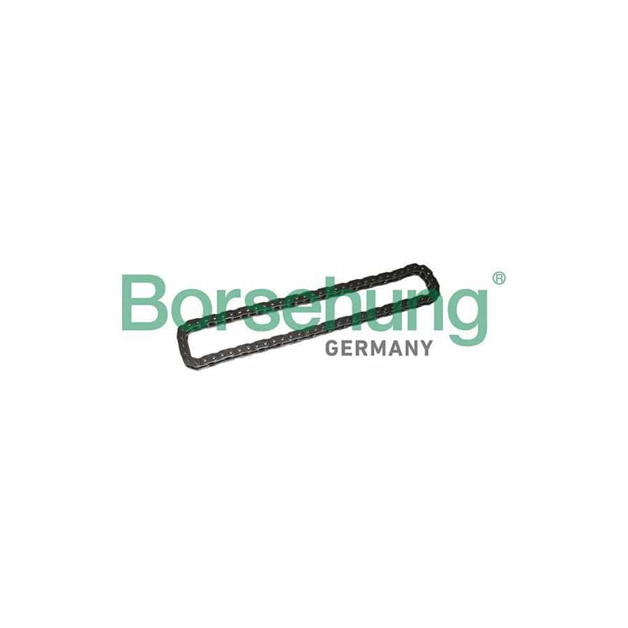 Borsehung B1C022 Timing Chain