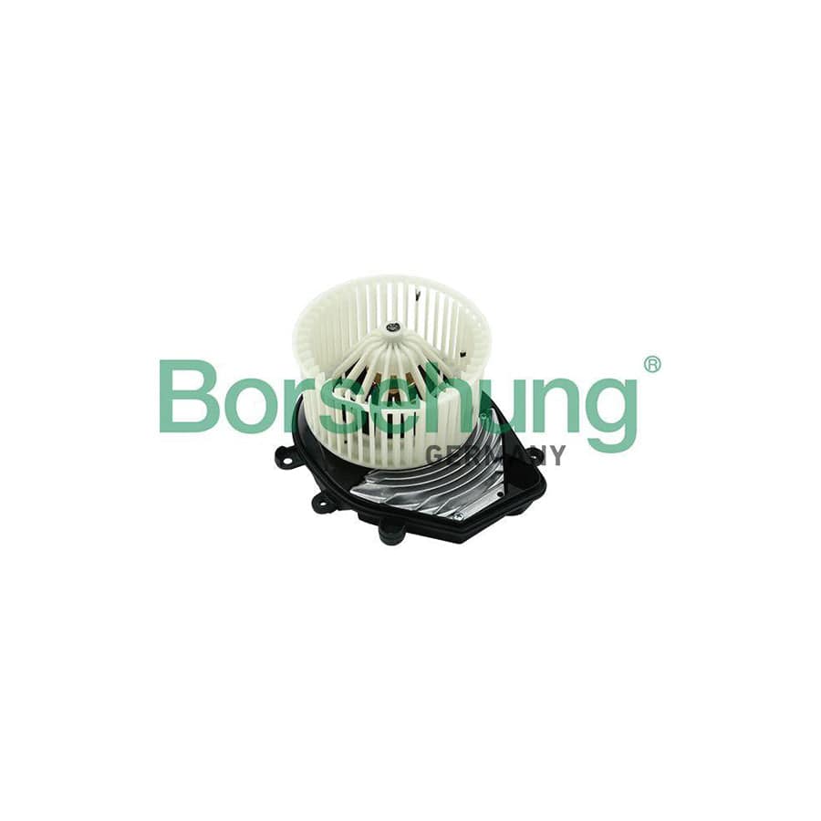 Borsehung B14594 Interior Blower