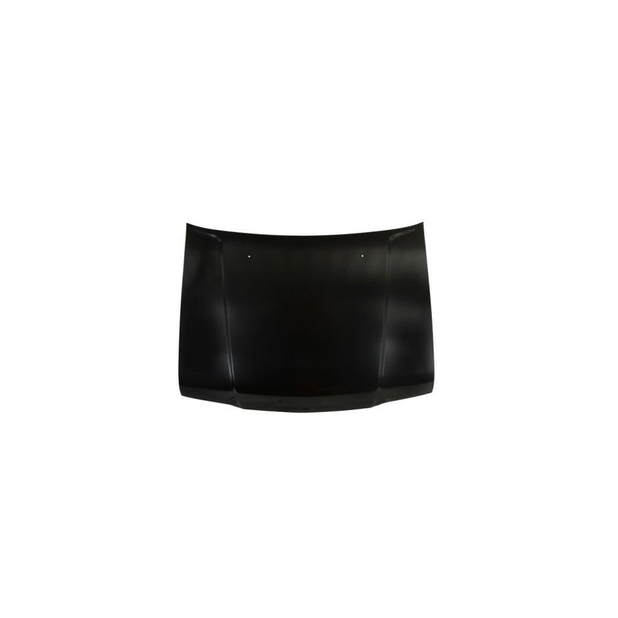 Blic 6803-00-3290280P Bonnet For Kia Sportage I (K00, Ja)