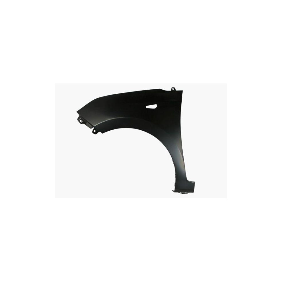 Blic 6504-04-3121311P Wing Fender For Hyundai I10 II Hatchback (Ia, Ba)