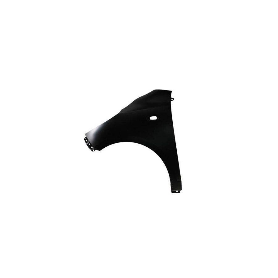 Blic 6504-04-3120311P Wing Fender For Hyundai I10 I (Pa)