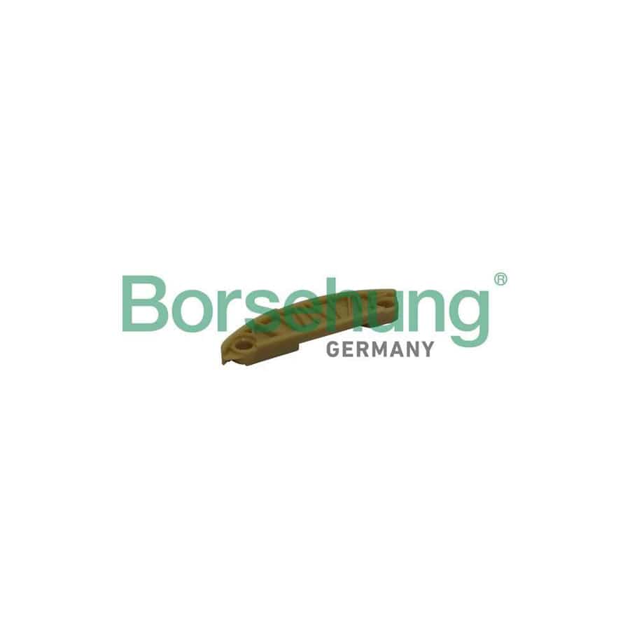 Borsehung B1G010 Guides, Timing Chain