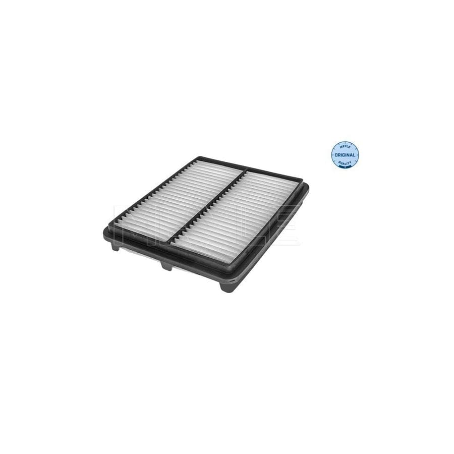 Meyle 29-12 321 0008 Air Filter