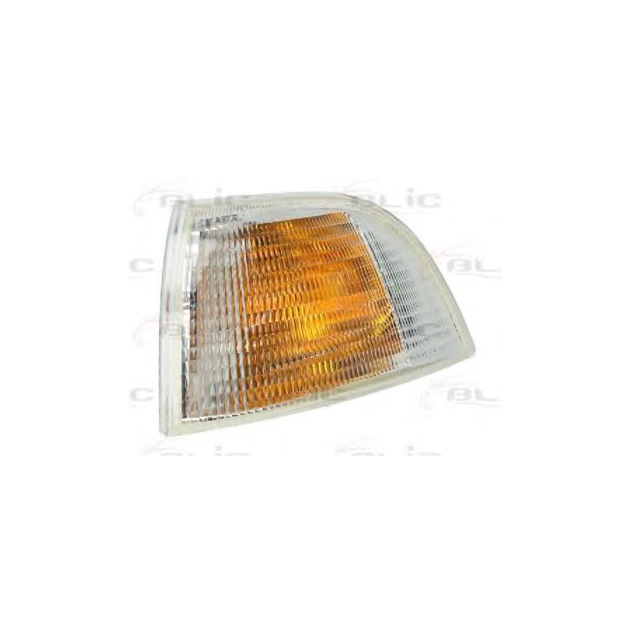 Blic 5403-07-013101C Side Indicator For Fiat Punto
