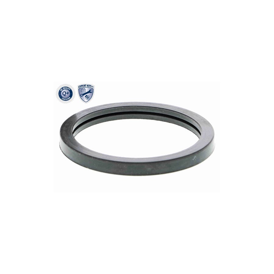 Ackoja A37-0053 Timing Belt Deflection Pulley | ML Performance US