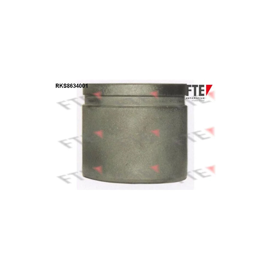FTE Rks8634001 Piston, Brake Caliper