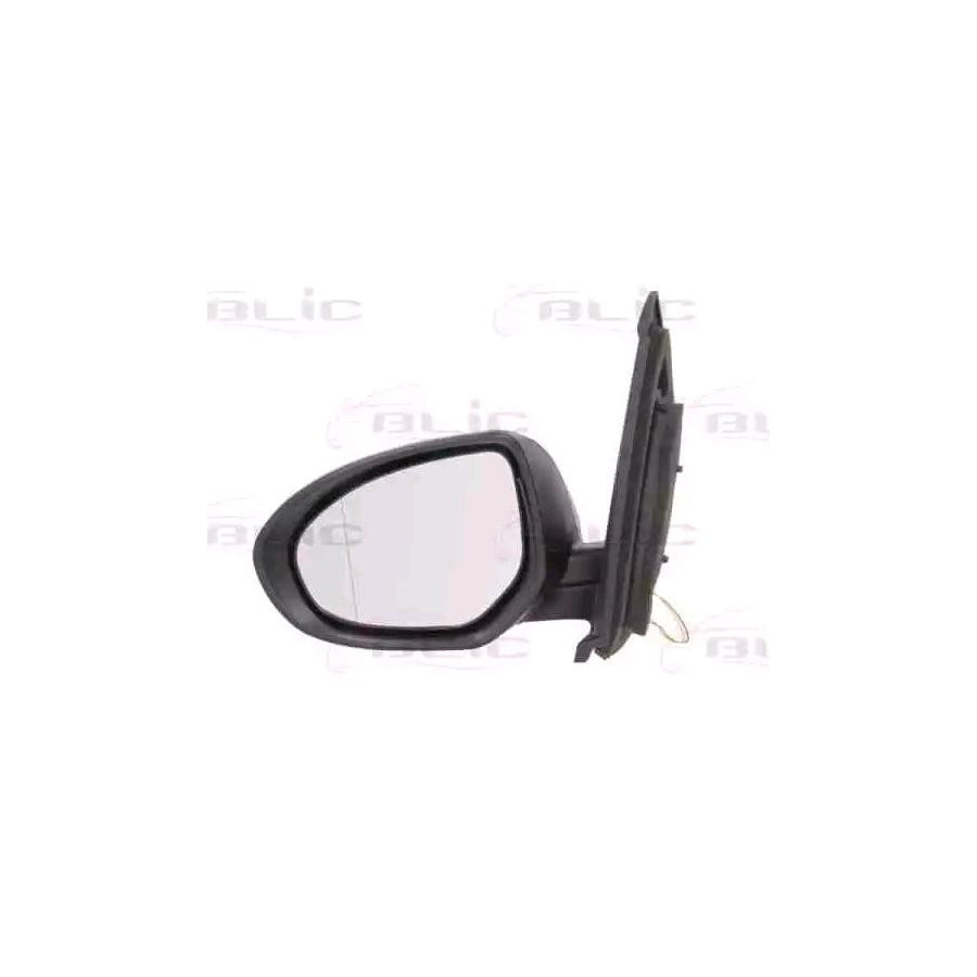 Blic 5402-14-2001677P Wing Mirror For Mazda 2