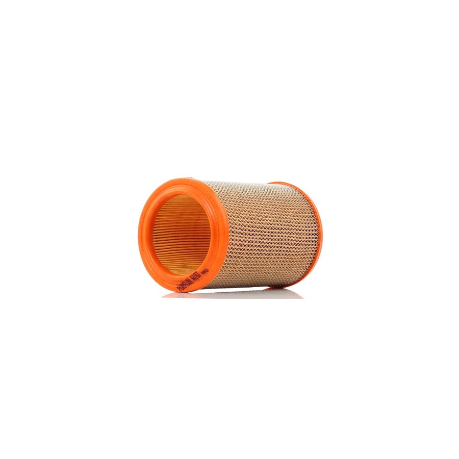 Purflux A197 Air Filter