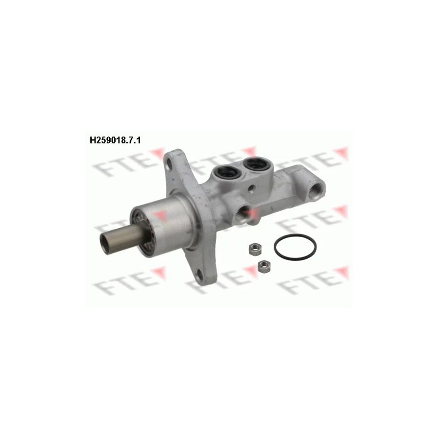 FTE H259018.7.1 Brake Master Cylinder