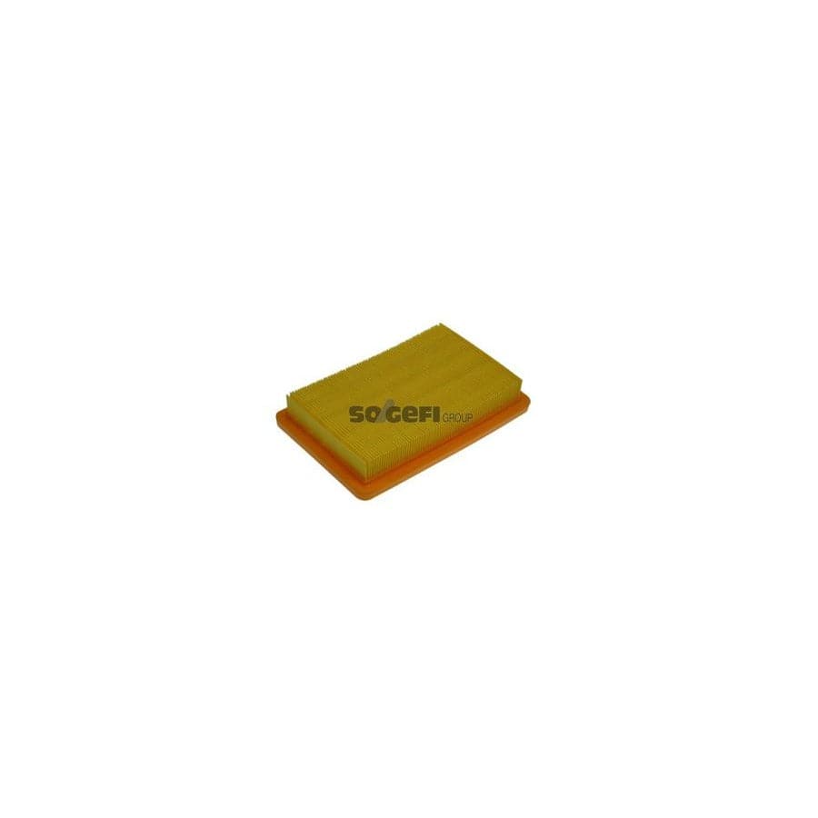 Purflux A1345 Air Filter
