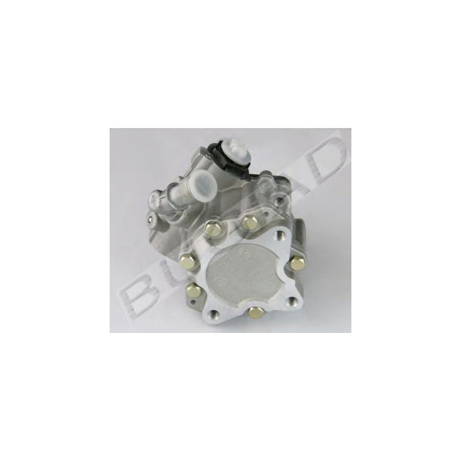 BUGIAD Bsp20829 Power Steering Pump
