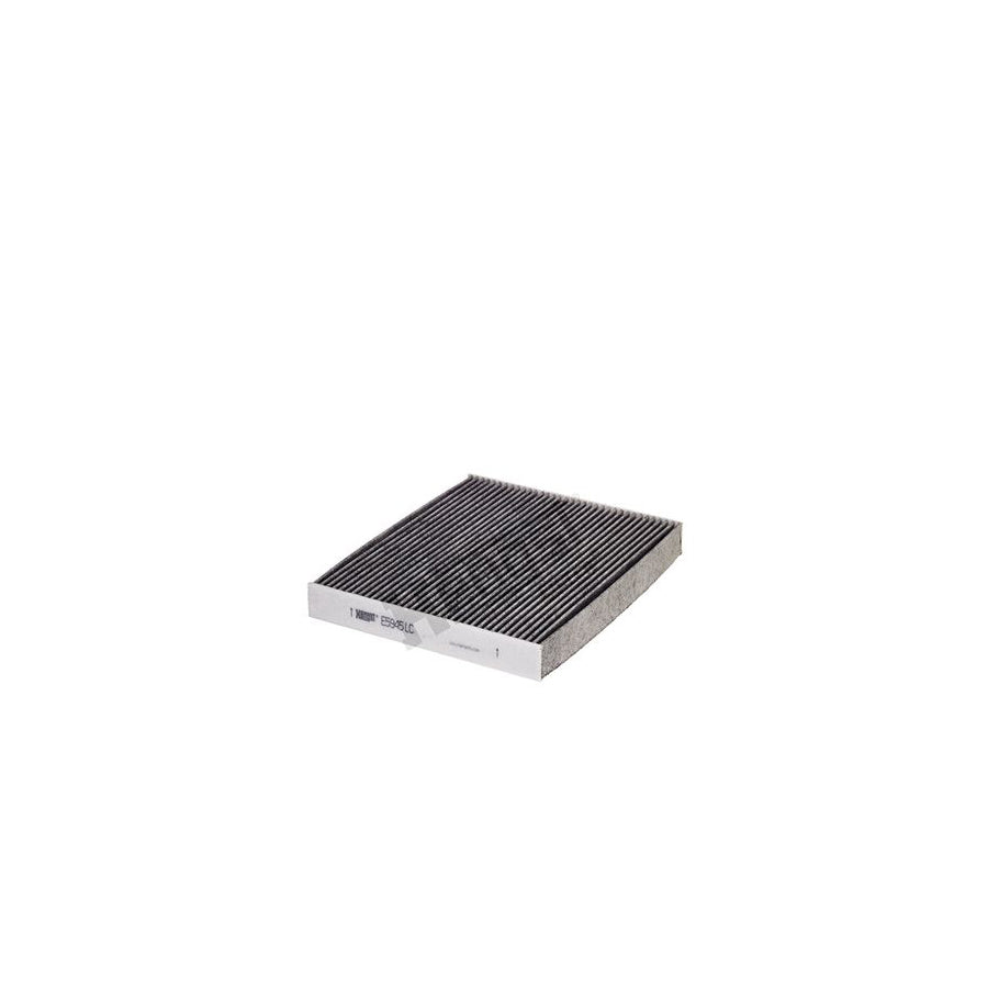 Hengst Filter E5945LC Pollen Filter