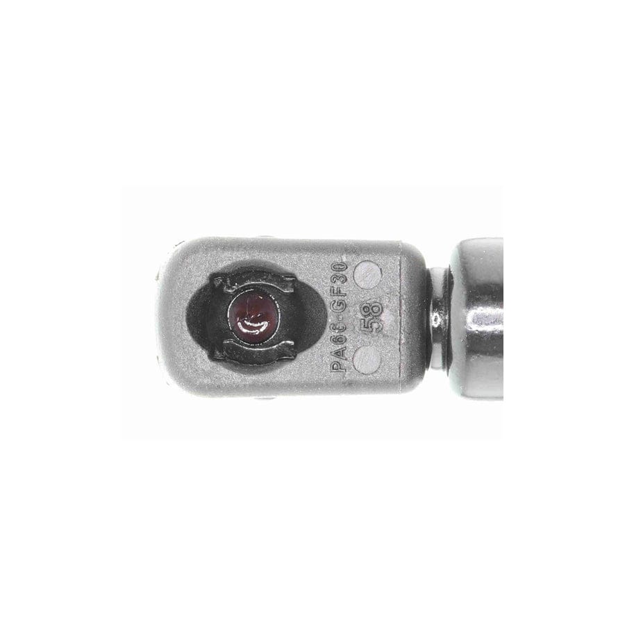 Ackoja A37-0064 Tailgate Strut For Mitsubishi Carisma | ML Performance US