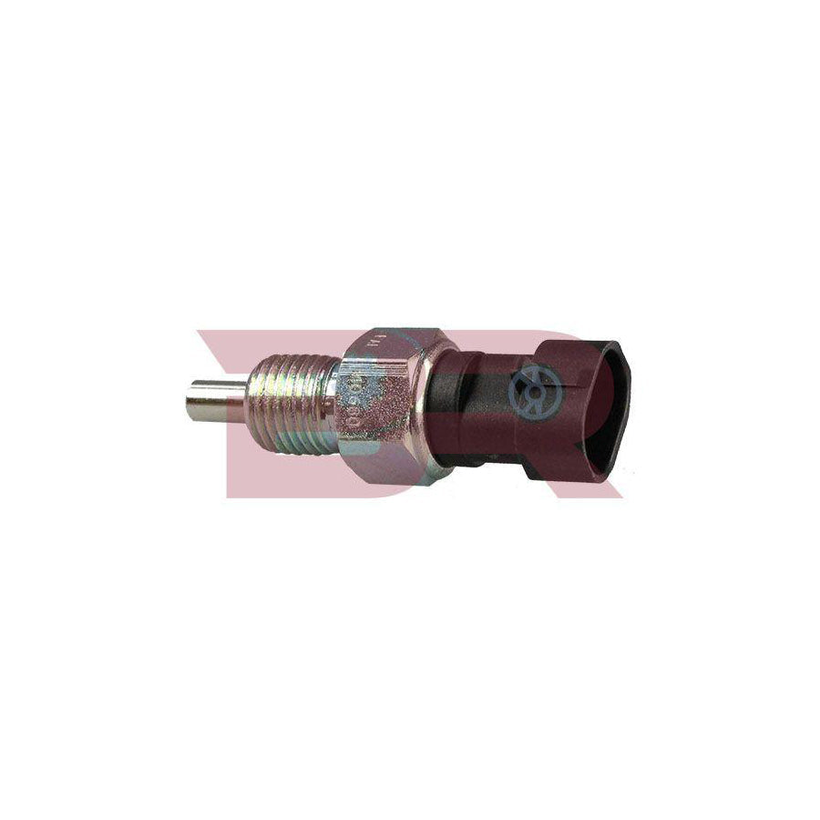 Botto Ricambi Brel6676 Reverse Light Switch for Iveco Daily