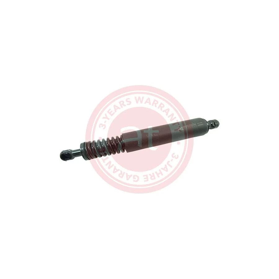 at autoteile germany At11938 Tailgate Strut for Porsche Cayenne (9Pa)