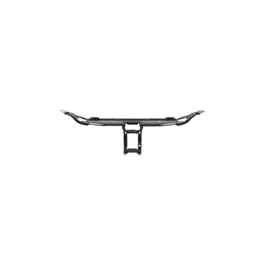 Blic 6502-08-3517200P Front Cowling Suitable For Mercedes-Benz S-Class Saloon (W220)