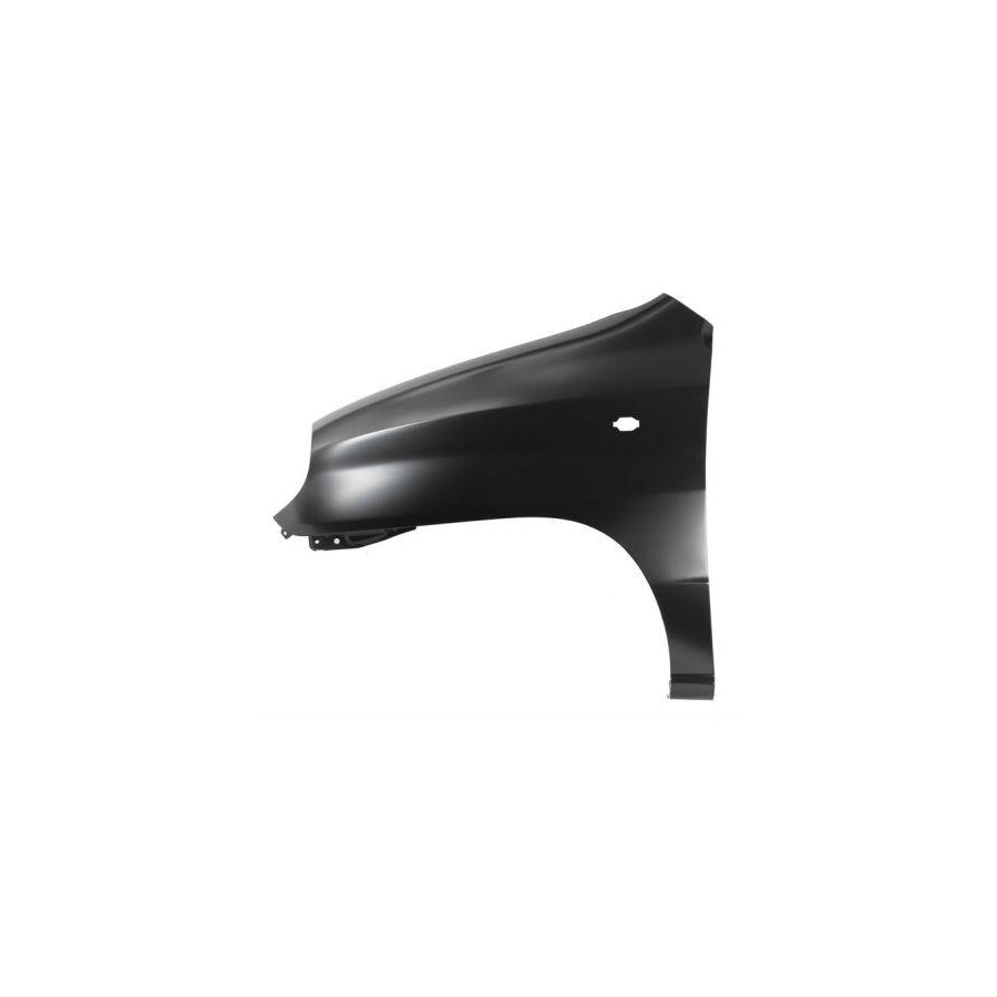 Blic 6504-04-3125311P Wing Fender For Hyundai Amica / Atoz (Mx)