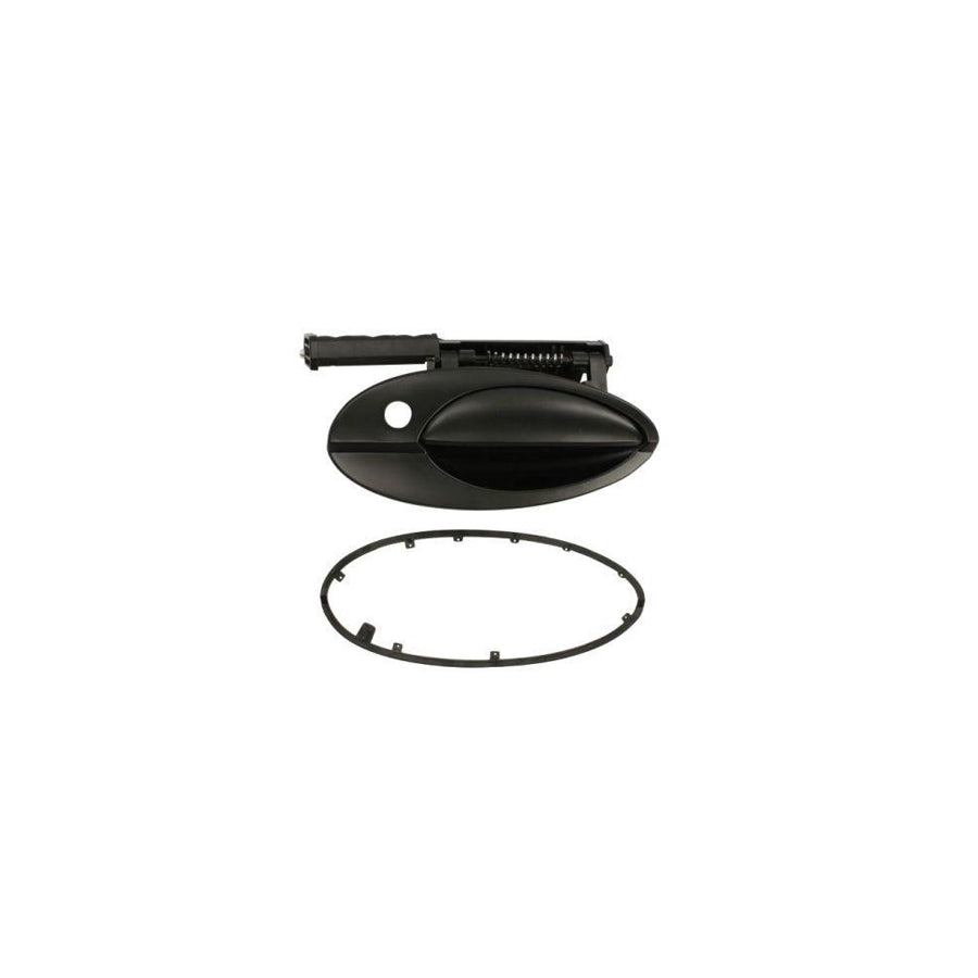 Blic 6013-00-3217702P Door, Body