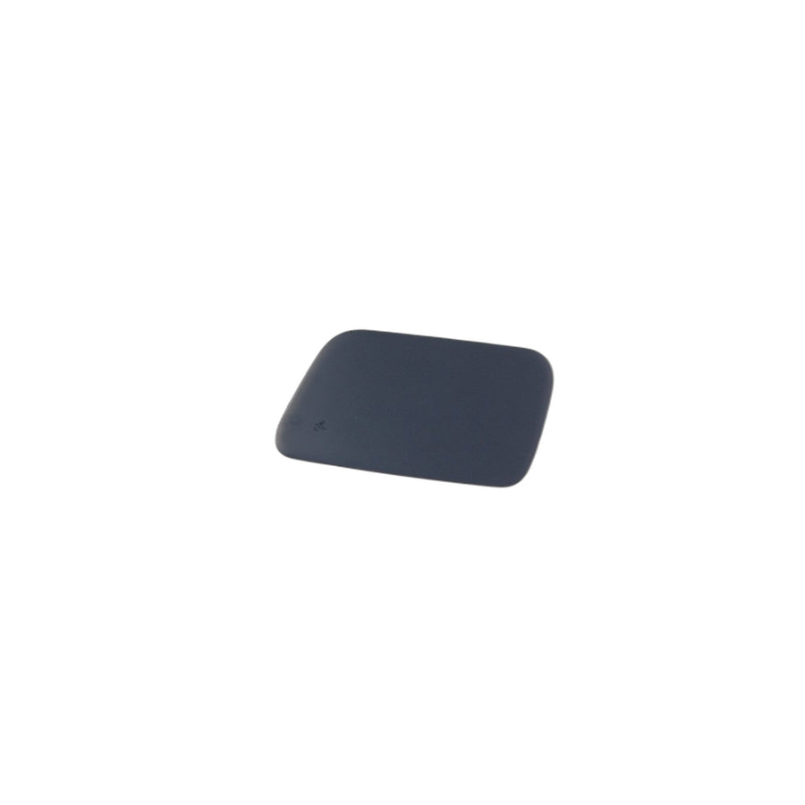 Genuine BMW 51117111741 E61 E60 Flap Prime Coatedleft (Inc. 535i, 525xi & 530xd) | ML Performance UK Car Parts