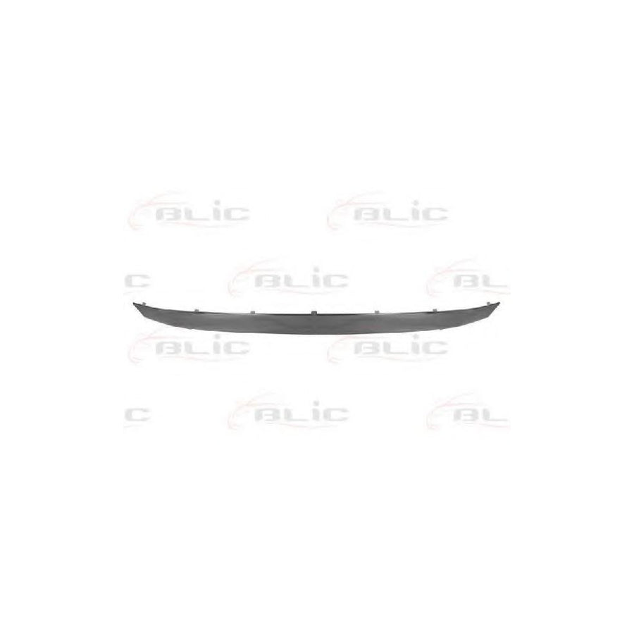 Blic 5513-00-1301923P Trim / Protective Strip, Radiator Grille