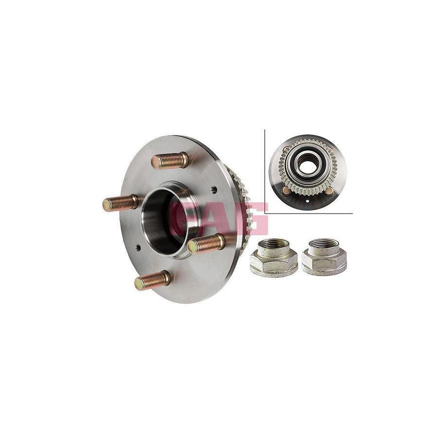 FAG 713 6173 50 Wheel Bearing Kit